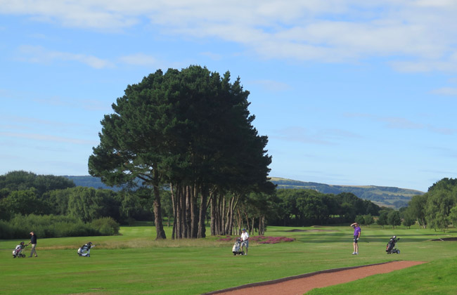 Image of beautiful green on golf course in France with golfer walking to trolley